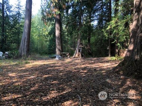 100 E Annas Ct, Shelton, WA 98584