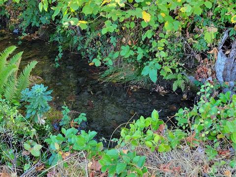 9999 Riverside Rd, Sequim, WA 98382 photo 3