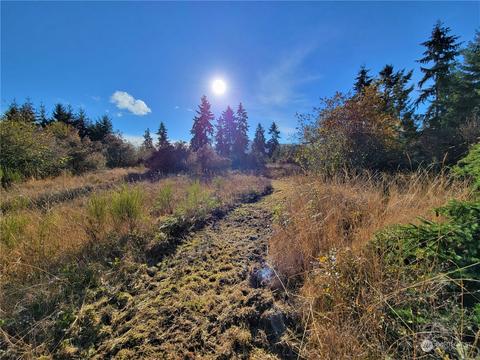 9999 Riverside Rd, Sequim, WA 98382 photo 9