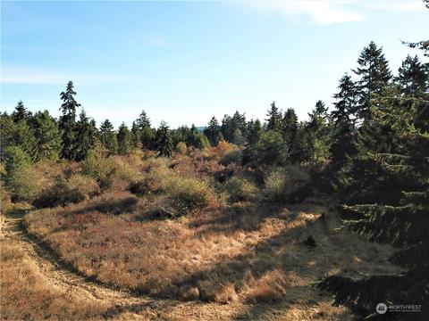 9999 Riverside Rd, Sequim, WA 98382 photo 5