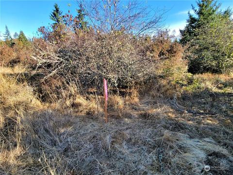 9999 Riverside Rd, Sequim, WA 98382 photo 13