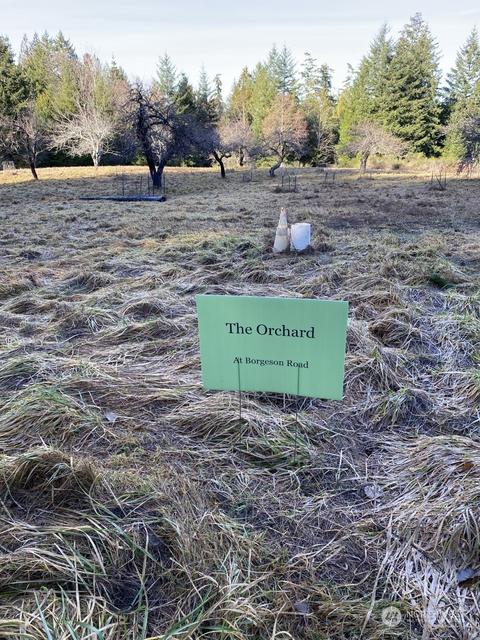 0 Borgeson Rd, Quilcene, WA 98376