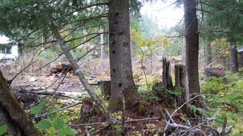 121 Holiday Ln #B, Packwood, WA 98361