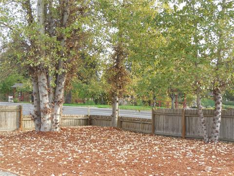 972 Cedar St, Sequim, WA 98382 photo 3