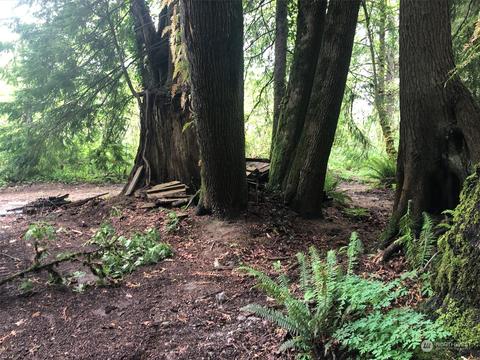 13500 415th Way SE, North Bend, WA 98045
