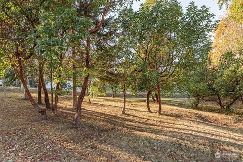 111 Moonlight Dr, Sequim, WA 98382 photo 37