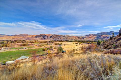 33 Surface Ln, Twisp, WA 98856 photo 30