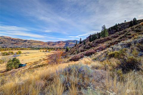 33 Surface Ln, Twisp, WA 98856 photo 34