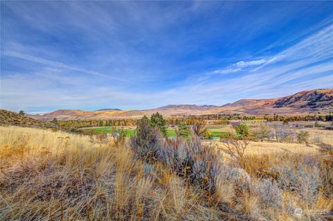 33 Surface Ln, Twisp, WA 98856 photo 26