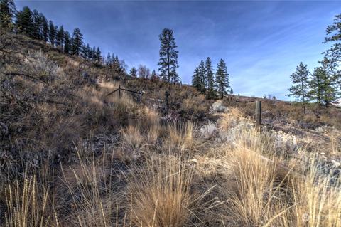 33 Surface Ln, Twisp, WA 98856 photo 32