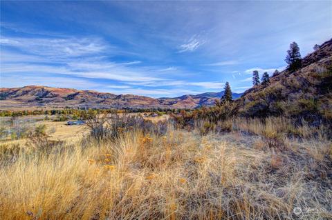 33 Surface Ln, Twisp, WA 98856 photo 28