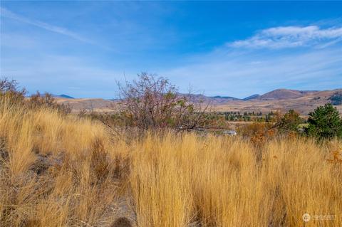 33 Surface Ln, Twisp, WA 98856 photo 20