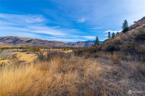 33 Surface Ln, Twisp, WA 98856 photo 40