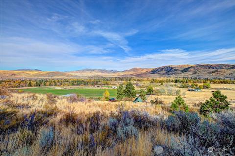 33 Surface Ln, Twisp, WA 98856 photo 36
