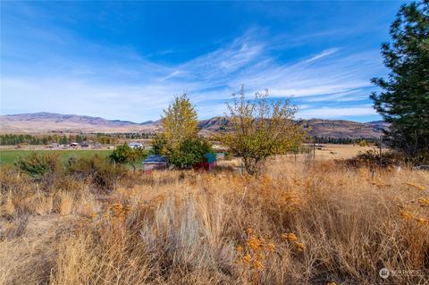 33 Surface Ln, Twisp, WA 98856 photo 38