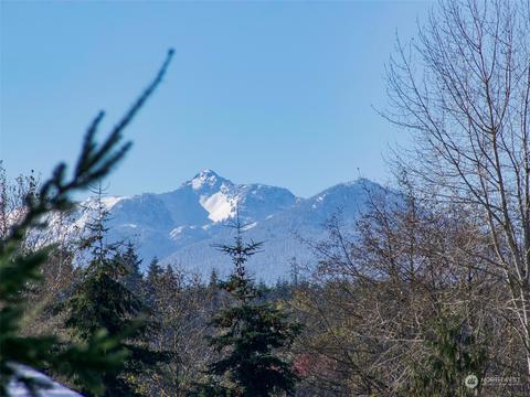 101 Bolster Way, Sequim, WA 98382 photo 30