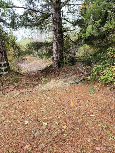 2 W Cloquallum Rd, Shelton, WA 98584