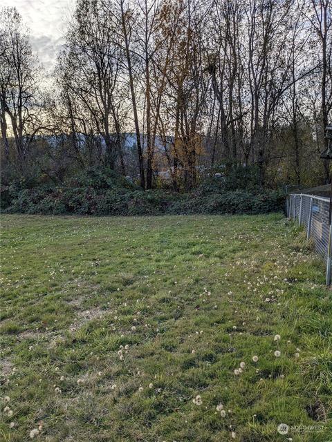 611 Main St, Vader, WA 98593 photo 2