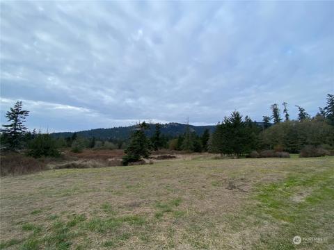 5320 Orcas Rd, Eastsound, WA 98245 photo 10