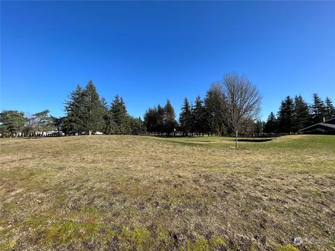 6842 Raspberry Dr #A, Everson, WA 98247 photo 5