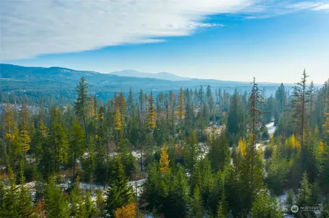 4 Moonbeam Ct, Elk, WA 99009