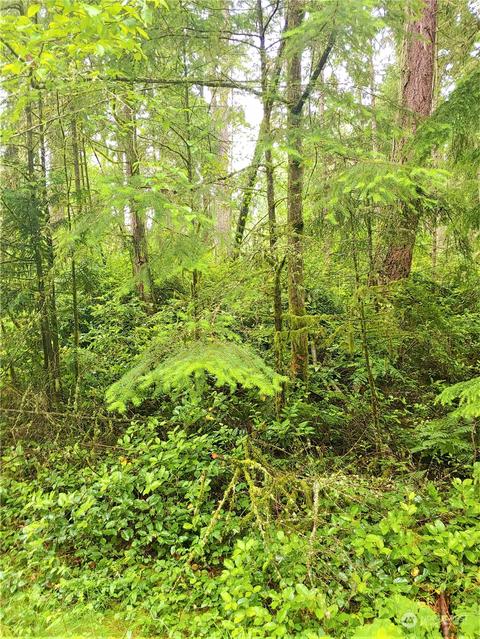 12911 90th Street Ct, Anderson Island, WA 98303