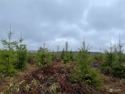 1 Nn Oppelt Rd, Onalaska, WA 98570