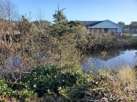 800 336th Pl, Ocean Park, WA 98640
