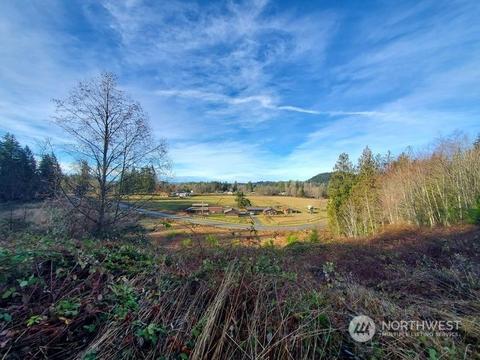40584 306th Ave SE, Enumclaw, WA 98022 photo 1