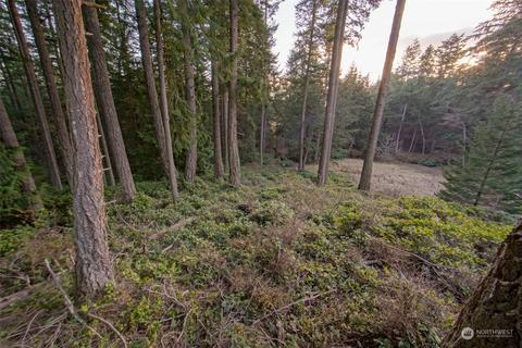 549 White Beach Rd, Eastsound, WA 98245 photo 37