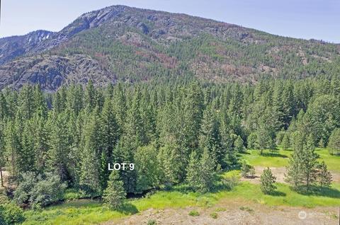 9 Methow Ranch Rd, Winthrop, WA 98862