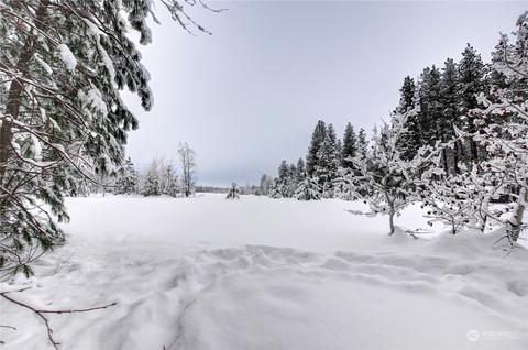 17 Deer Run Loop Rd, Winthrop, WA 98862 photo 36