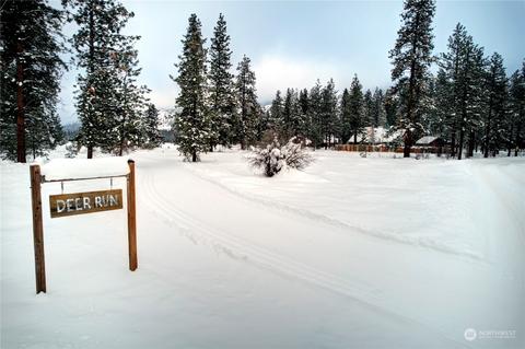 17 Deer Run Loop Rd, Winthrop, WA 98862 photo 5