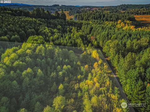 0 Westshore Rd, Castle Rock, WA 98611