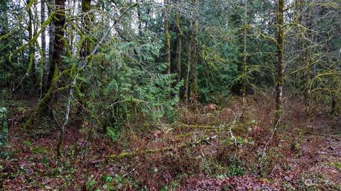 0 SE Arcadia Rd, Shelton, WA 98584