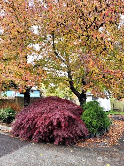 5009 Seahurst Ave, Everett, WA 98203 photo 35