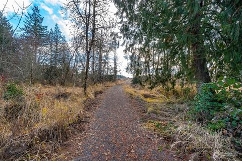 532 Hwy 12 #LOT 1, Chehalis, WA 98532