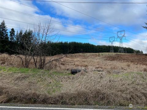 0 Delameter Rd, Castle Rock, WA 98611