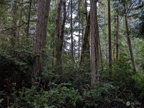11311 Greenwood Dr, Anderson Island, WA 98303