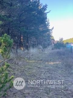 912 35th K Ln, Seaview, WA 98624