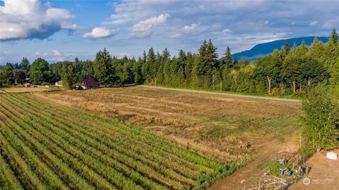 6573 Mission Rd, Everson, WA 98247 photo 38