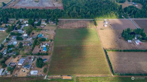 6573 Mission Rd, Everson, WA 98247 photo 12