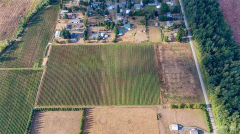 6573 Mission Rd, Everson, WA 98247 photo 25