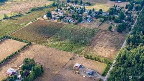 6573 Mission Rd, Everson, WA 98247 photo 23