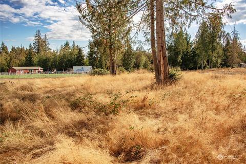 290 E Orchid Ln, Grapeview, WA 98546 photo 17