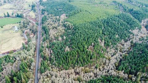0 Allman Rd, Winlock, WA 98596 photo 9