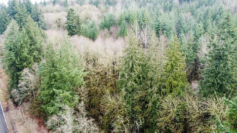 0 Allman Rd, Winlock, WA 98596 photo 21