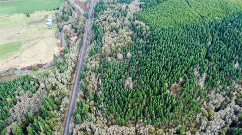 0 Allman Rd, Winlock, WA 98596 photo 13