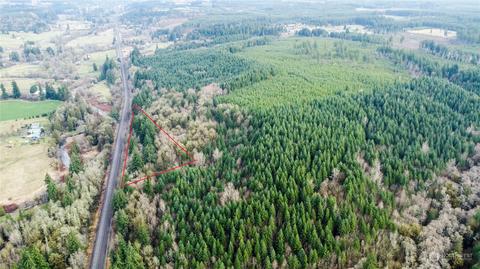0 Allman Rd, Winlock, WA 98596 photo 7