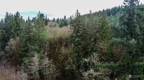0 Allman Rd, Winlock, WA 98596 photo 20